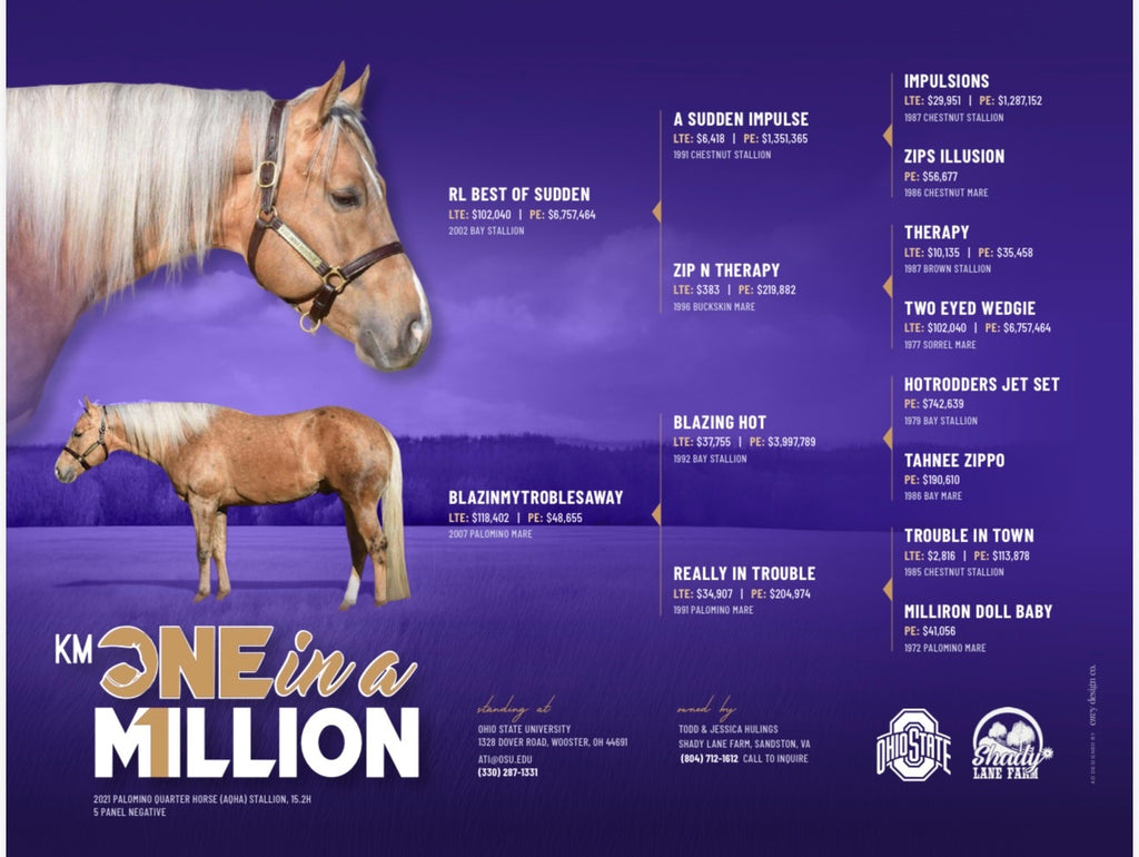 Breeding to Km One In A Million