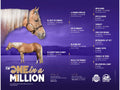 Breeding to Km One In A Million