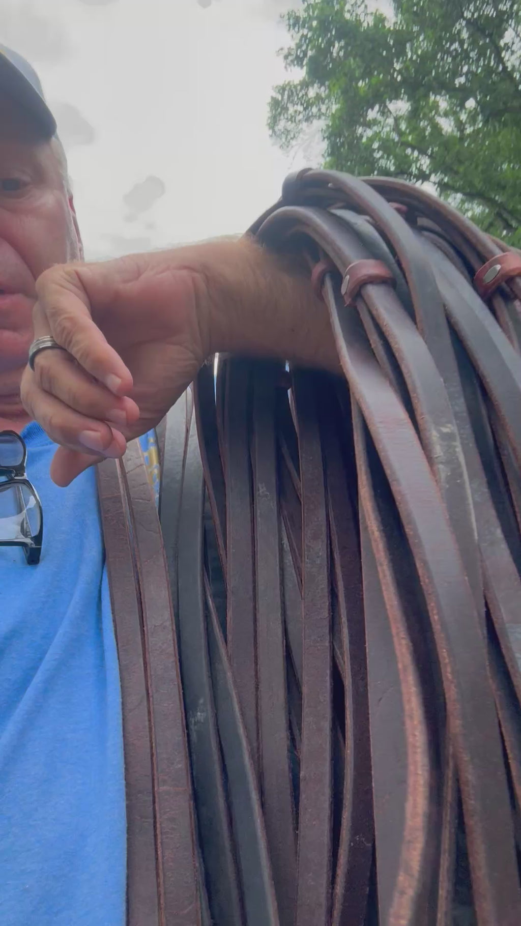 Harness leather reins